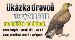 Ukázka dravců 1