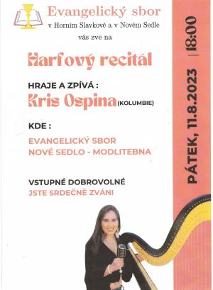 Plakát