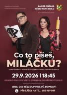 Plakát